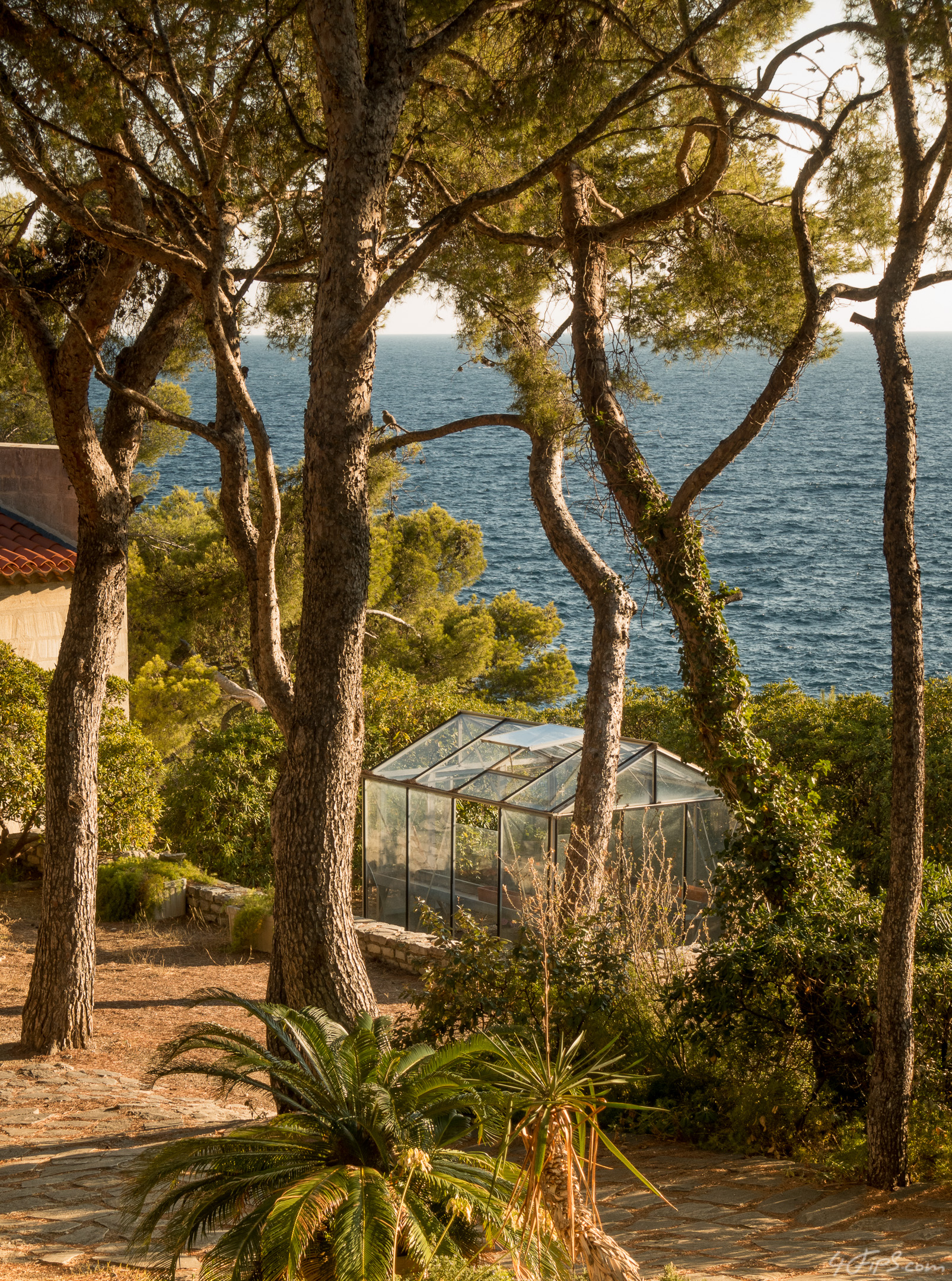 Having a Greenhouse in Cassis