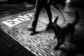 2023/02/03 | Walking a Dog in the Dark, Prague