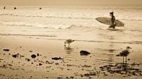 2012/03/01 | Venice Beach Surfers #2