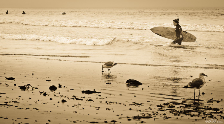 Venice Beach Surfers #2