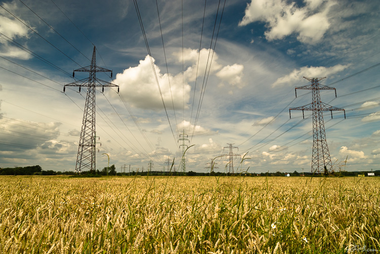Transmission Towers in Corn Fields