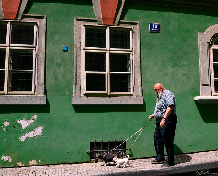 Walking the dogs at Little Side, Prague